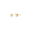 Caixa Brinco Zirconia Redonda 5mm Bruto
