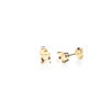 Caixa Brinco Zirconia Redonda 5mm Ouro